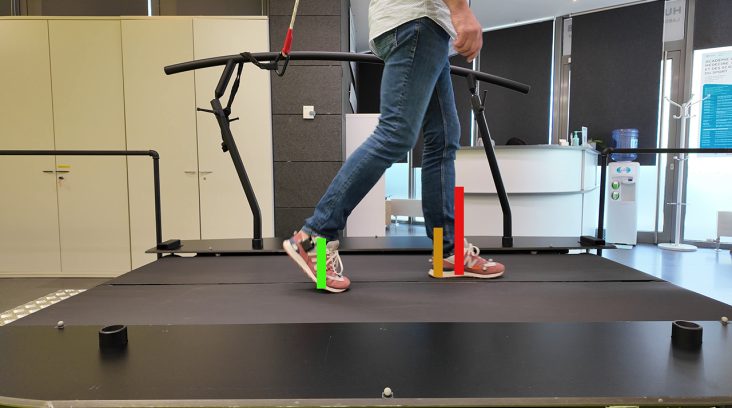 Gait Monitoring with WalkinSense